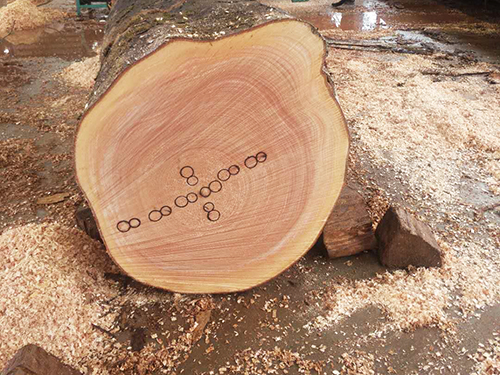 木材标记